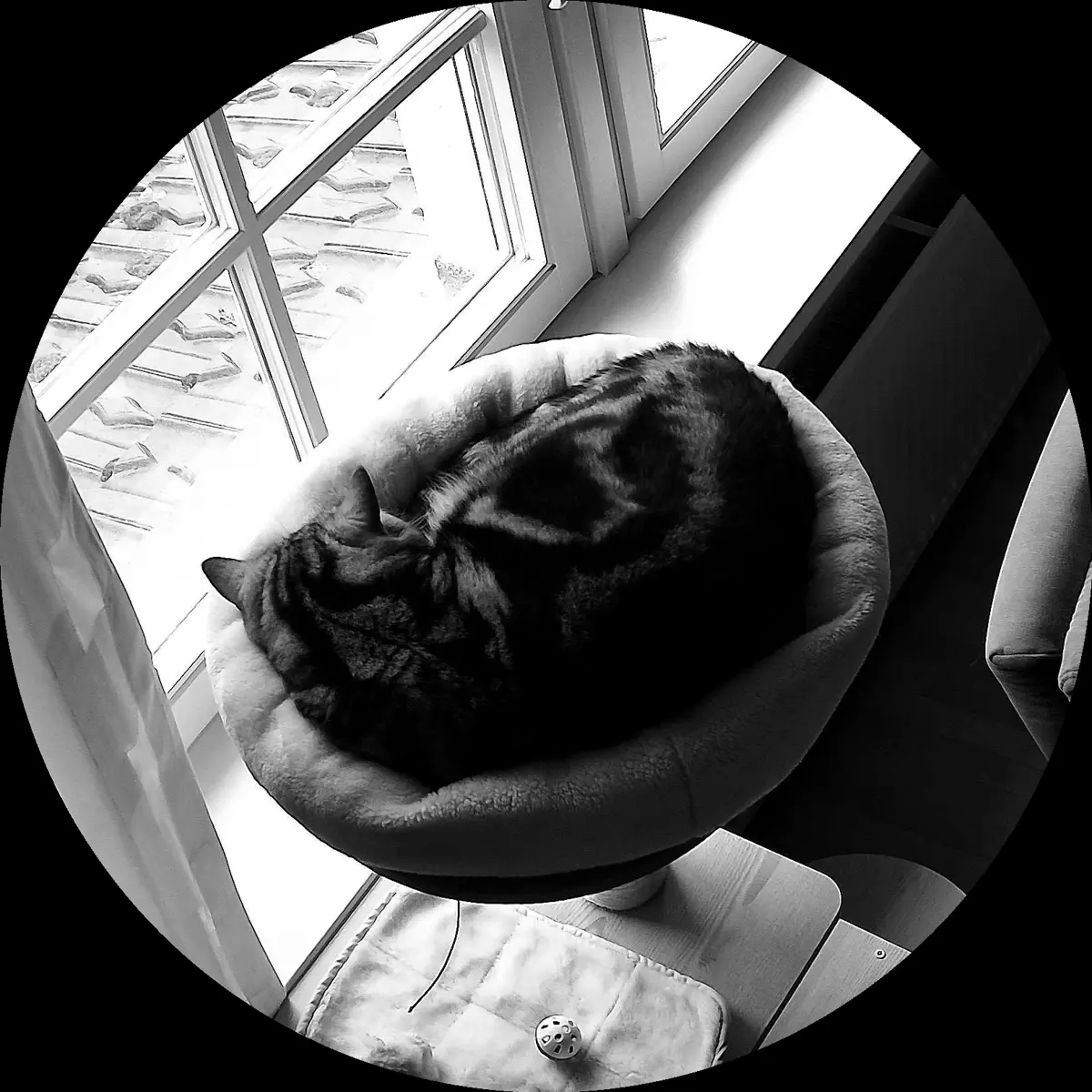 Rocky’s place on 4. April 2024 at 02:00