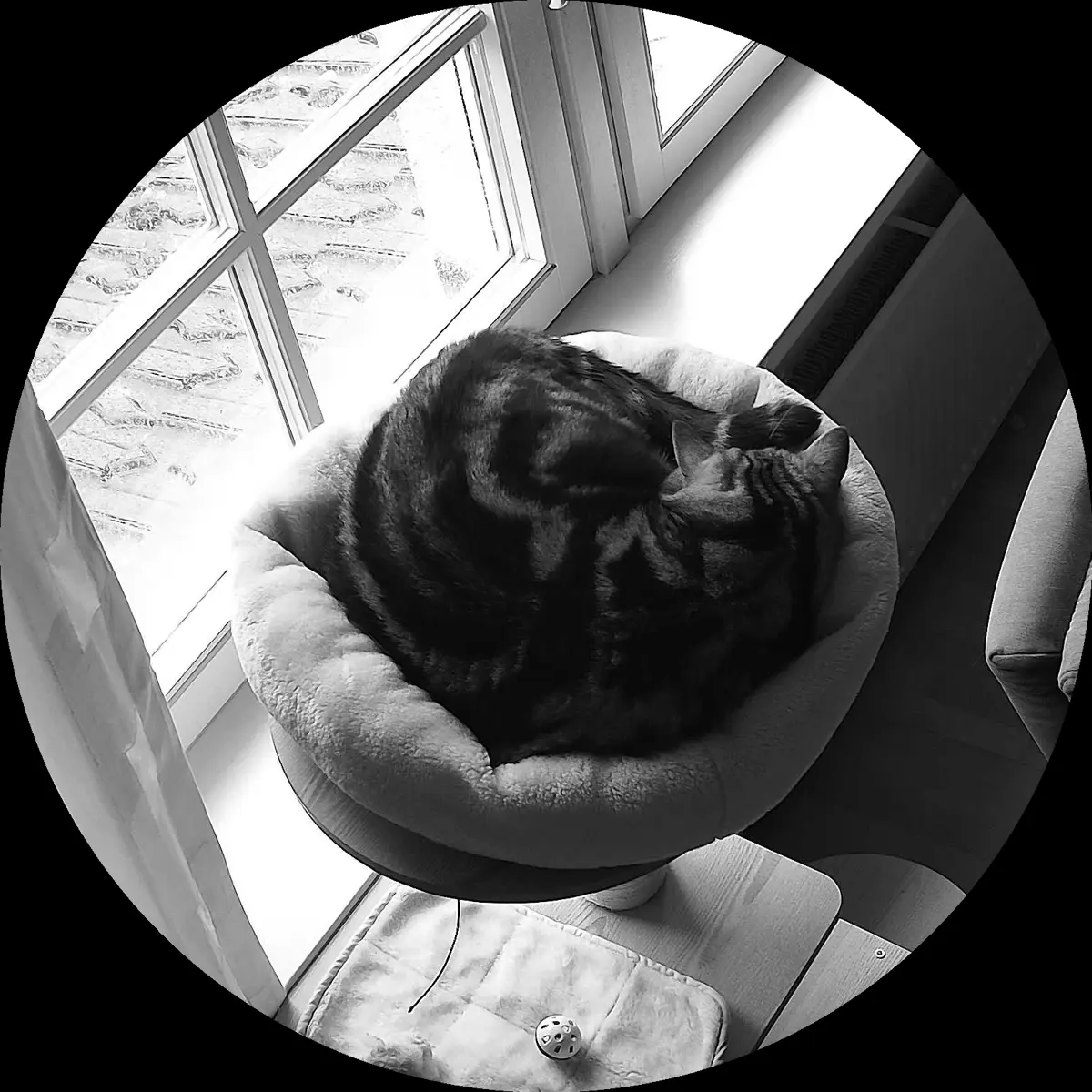 Rocky’s place on 4. April 2024 at 02:00