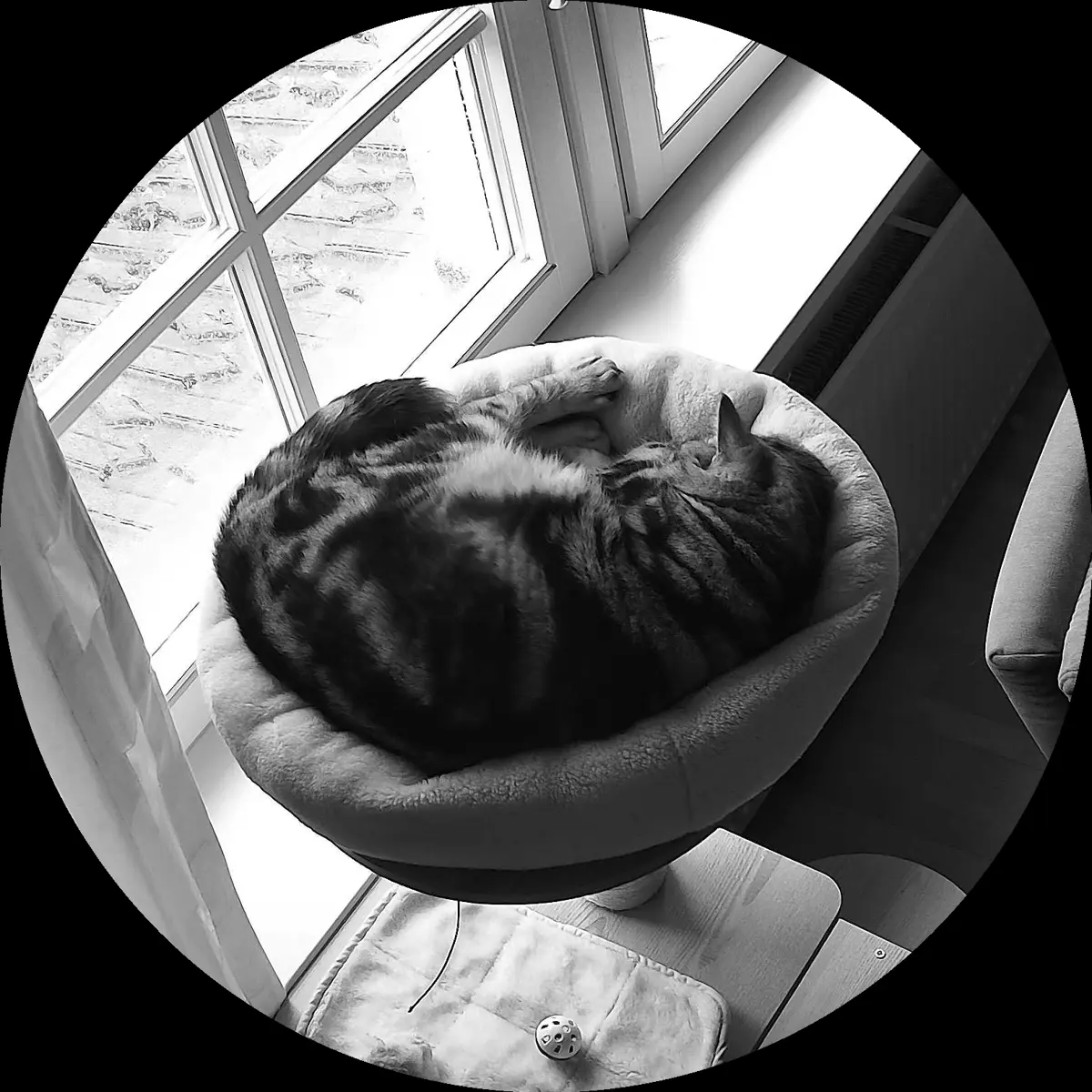 Rocky’s place on 4. April 2024 at 02:00