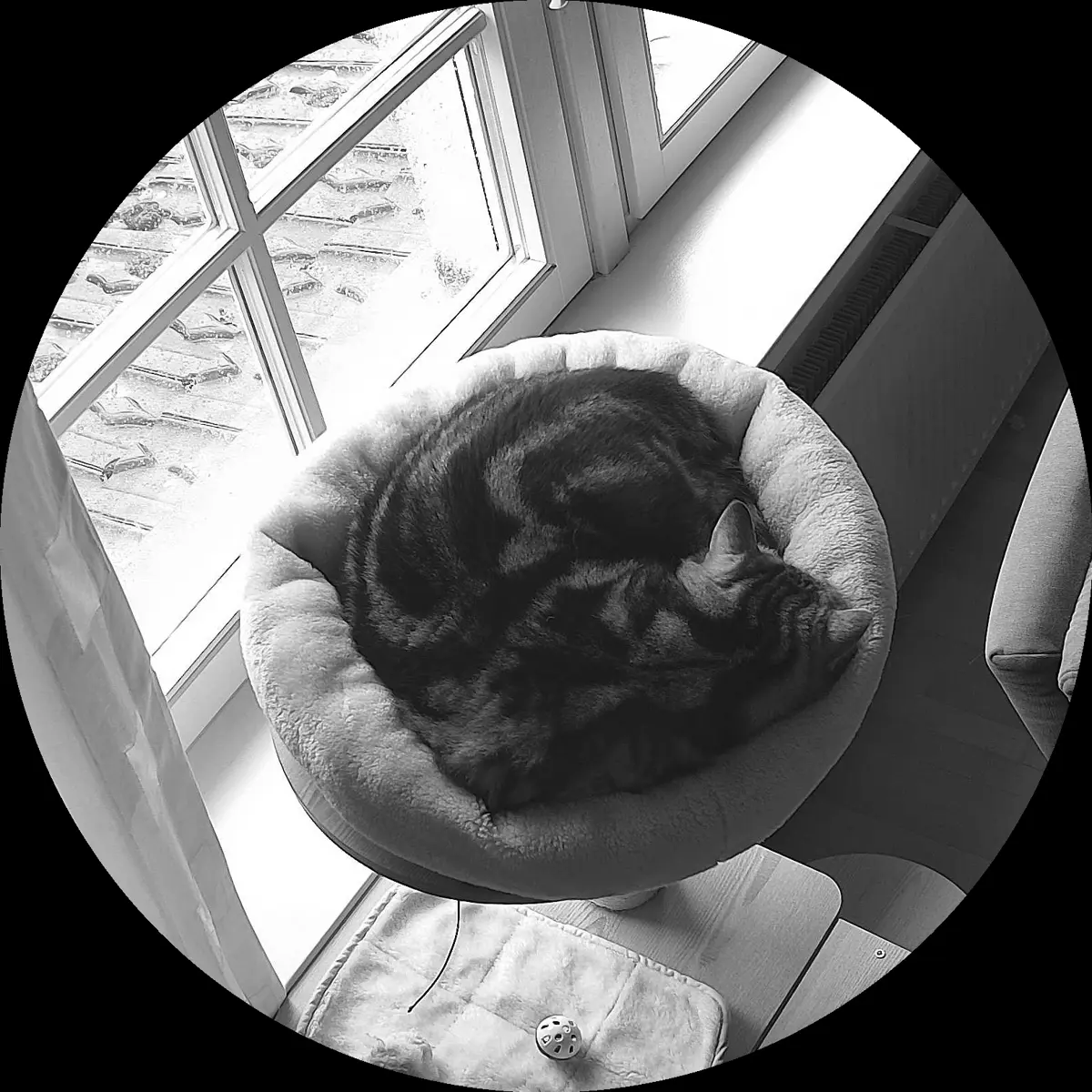 Rocky’s place on 4. April 2024 at 02:00