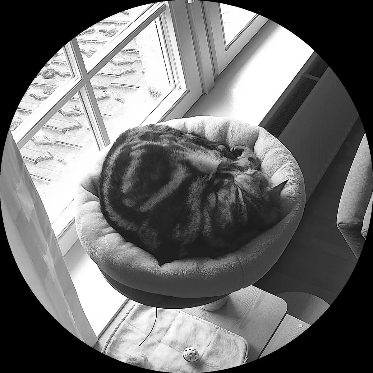 Rocky’s place on 4. April 2024 at 02:00