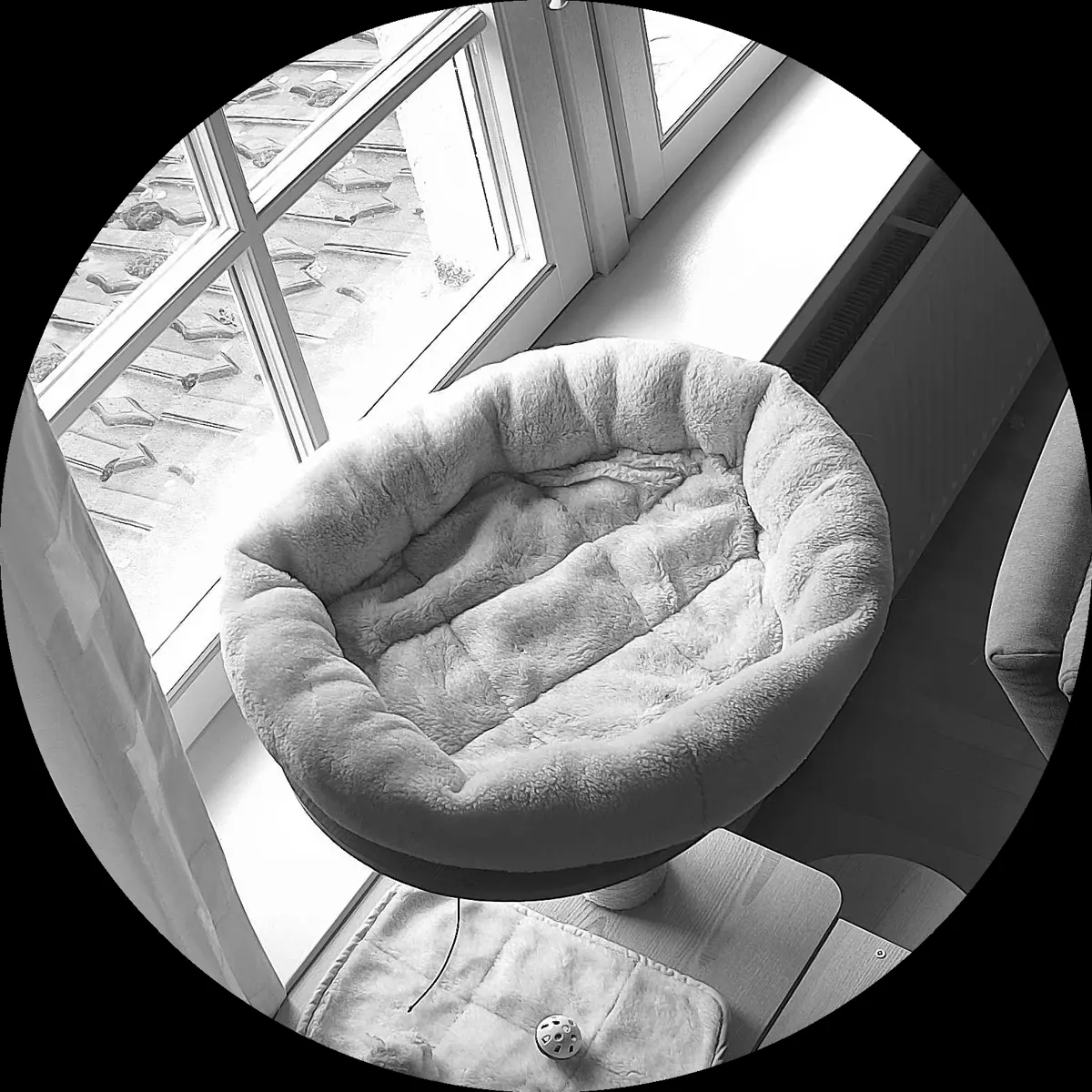 Rocky’s place on 4. April 2024 at 02:00