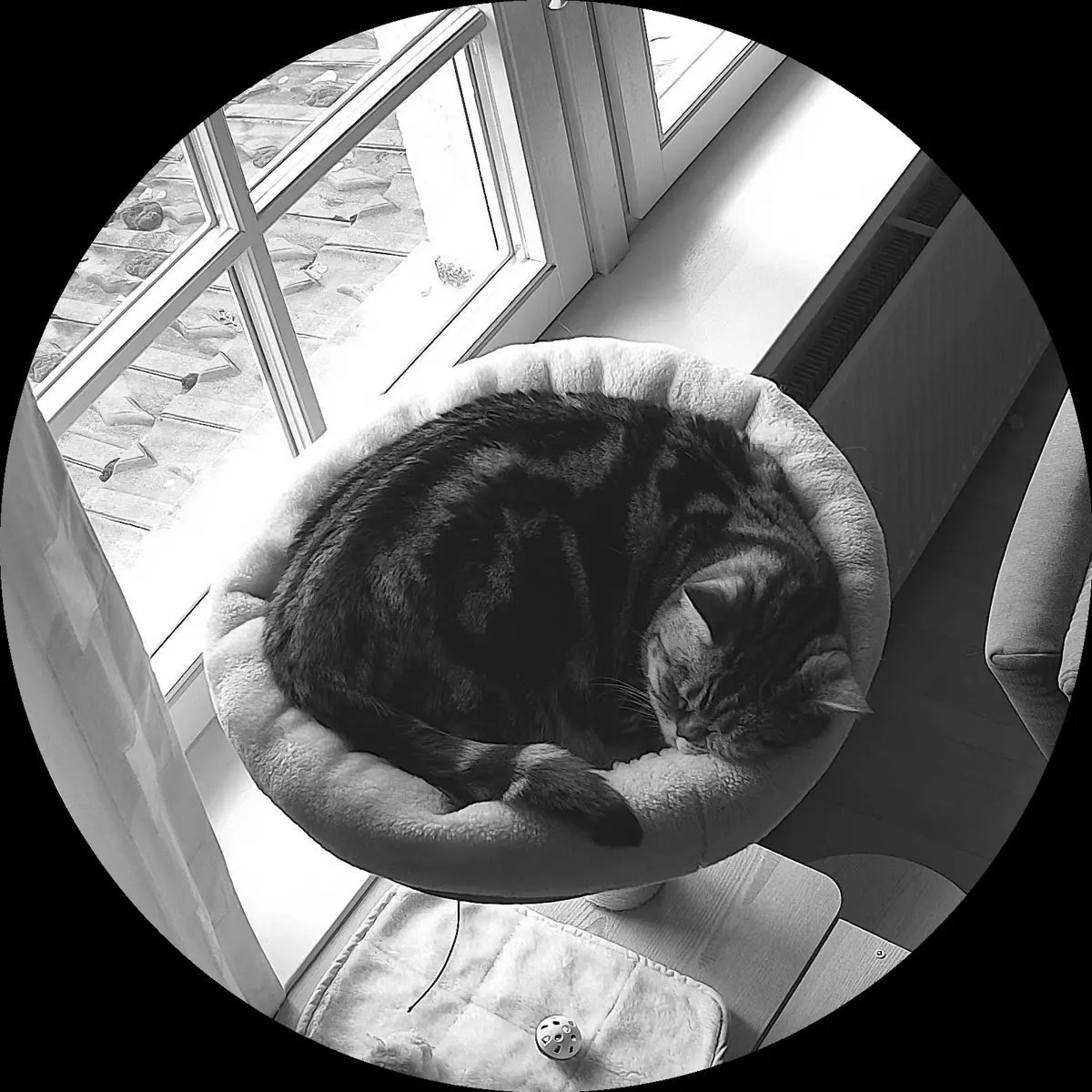 Rocky’s place on 4. April 2024 at 02:00