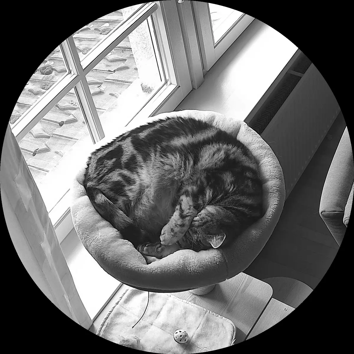 Rocky’s place on 4. April 2024 at 02:00