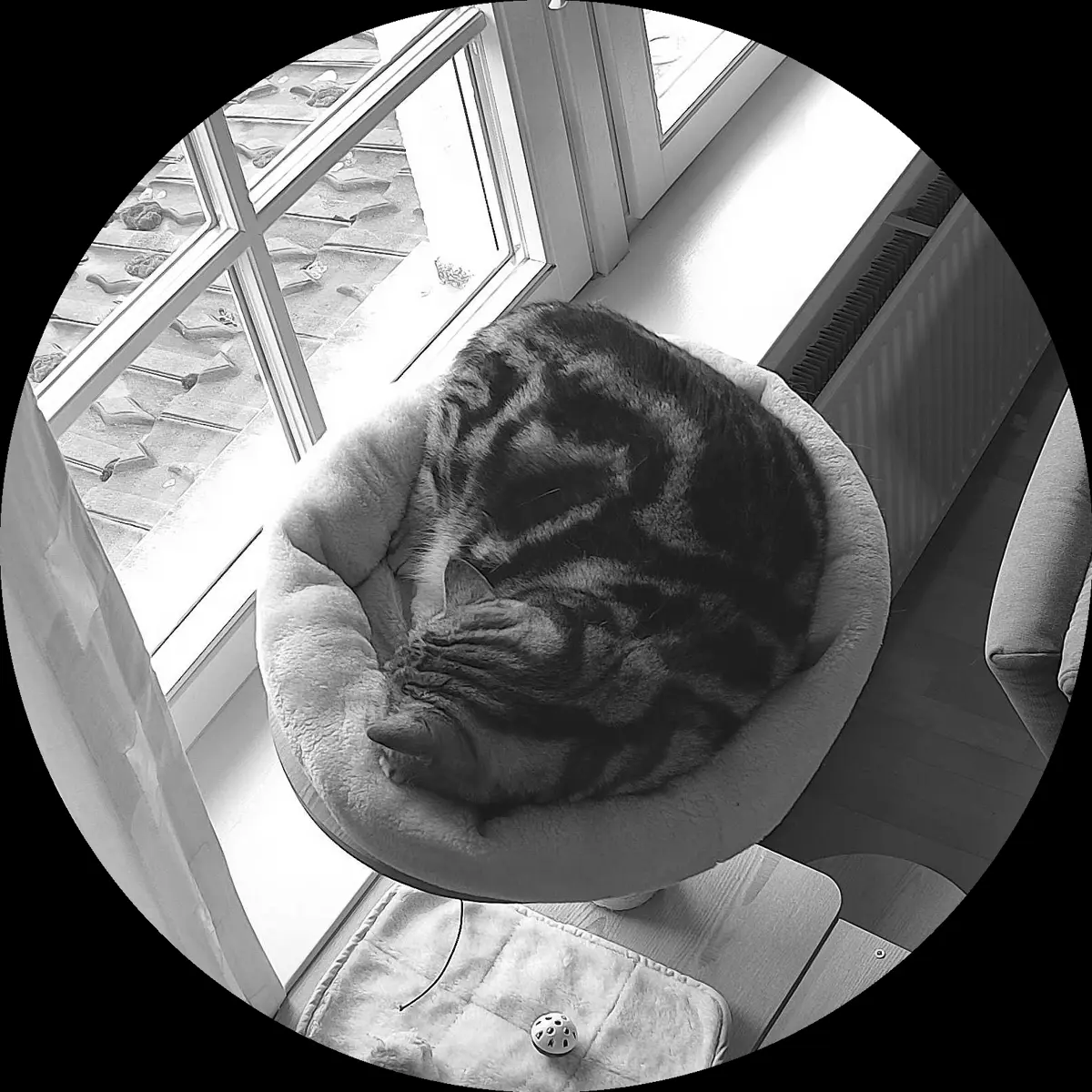 Rocky’s place on 5. April 2024 at 02:00