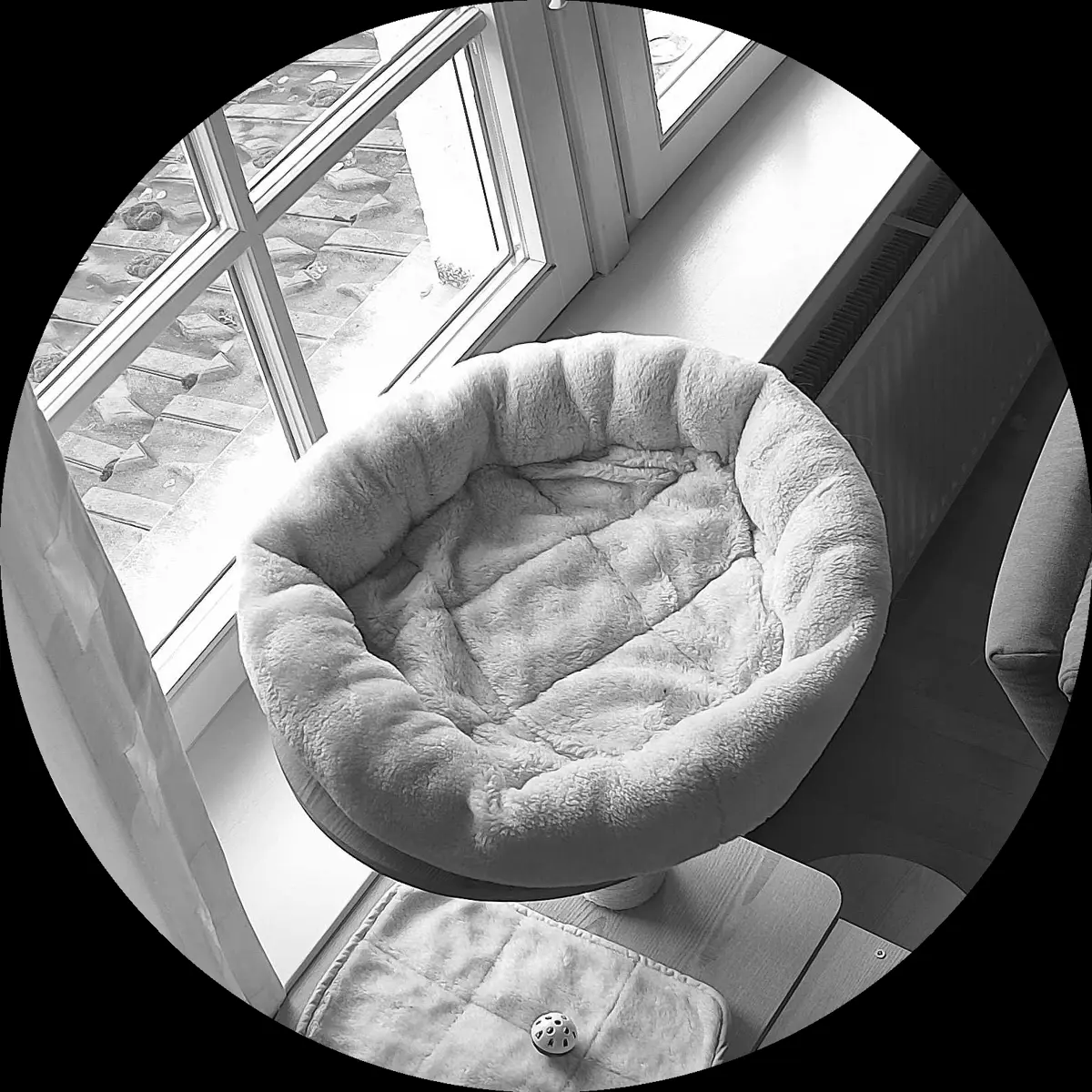 Rocky’s place on 5. April 2024 at 02:00