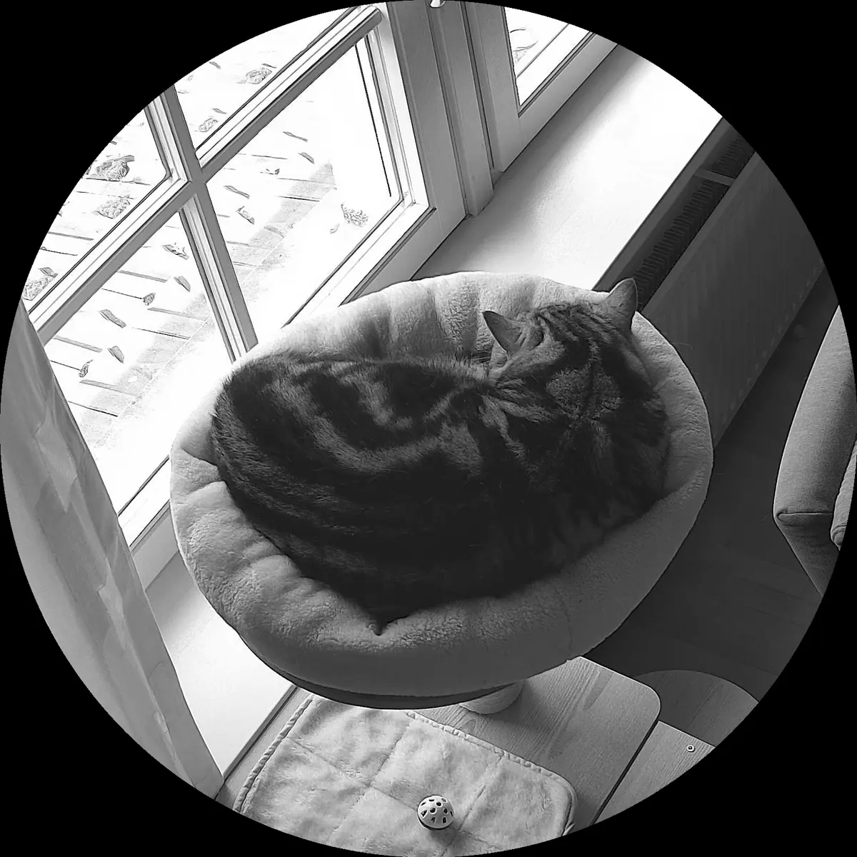 Rocky’s place on 5. April 2024 at 02:00